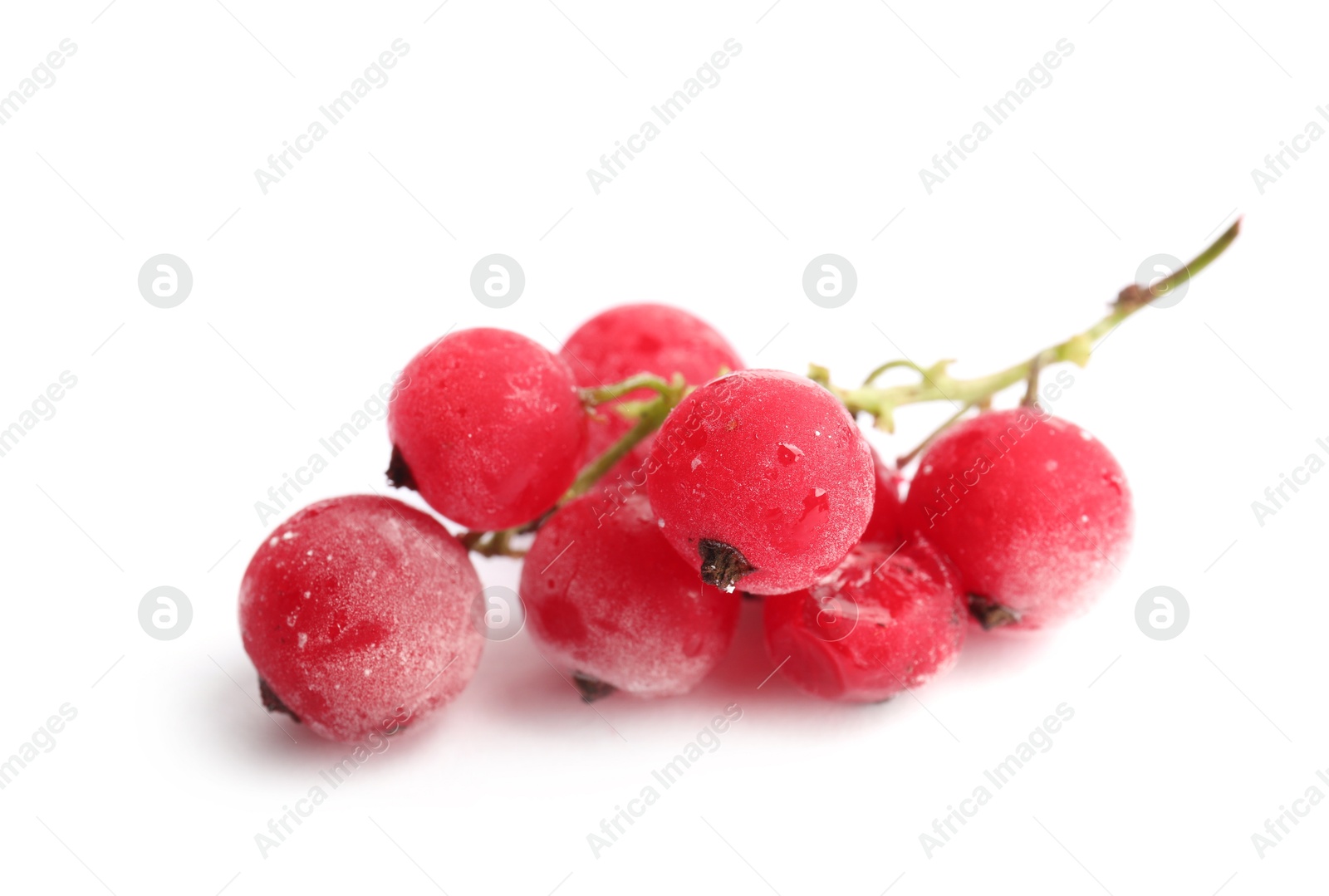 Photo of Red frozen currant berries isolated on white