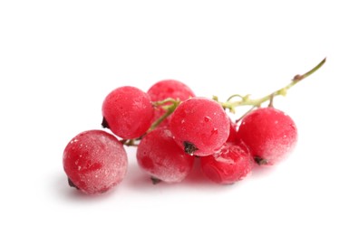 Photo of Red frozen currant berries isolated on white