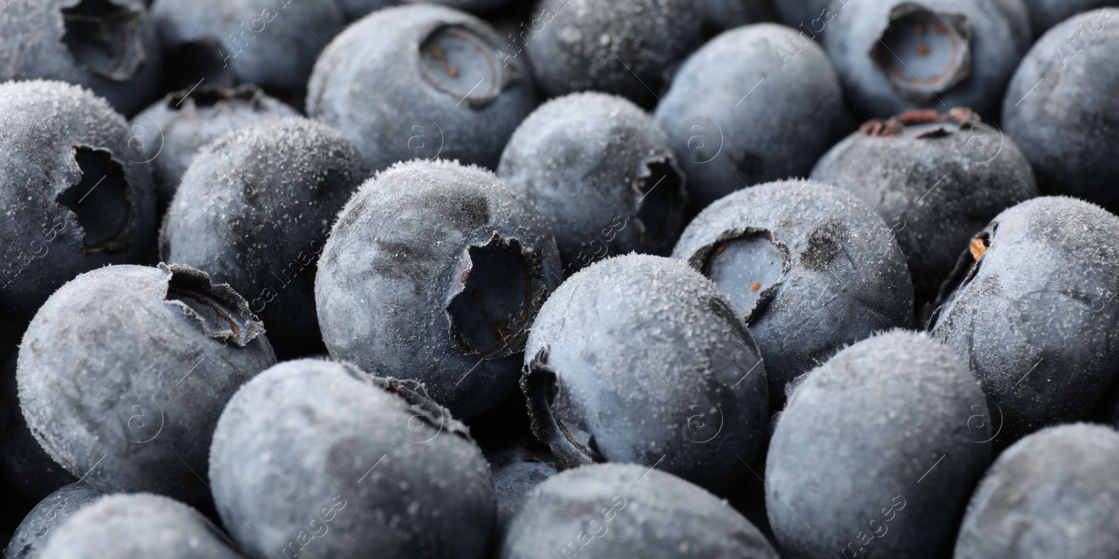 Photo of Heap of frozen blueberries as background, closeup