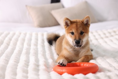 Photo of Cute Shiba Inu puppy with ring toy on bed at home, space for text