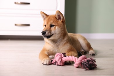 Photo of Cute Shiba Inu puppy with chew toy on floor at home
