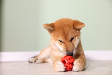 Photo of Cute Shiba Inu puppy playing with ball on floor at home