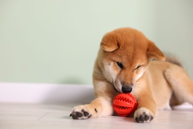 Photo of Cute Shiba Inu puppy playing with ball on floor at home, space for text