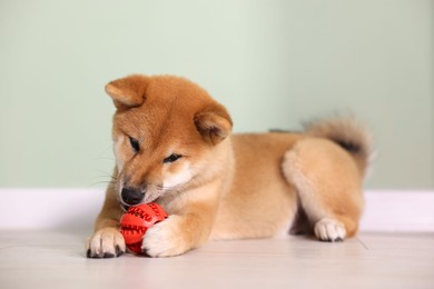 Photo of Cute Shiba Inu puppy playing with ball on floor at home