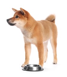 Photo of Cute Shiba Inu puppy with feeding bowl on white background