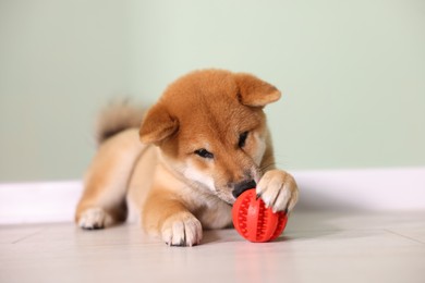 Photo of Cute Shiba Inu puppy playing with ball on floor at home
