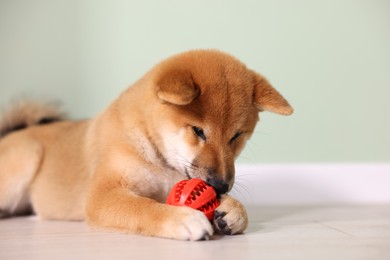 Photo of Cute Shiba Inu puppy playing with ball on floor at home