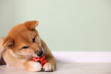 Photo of Cute Shiba Inu puppy playing with ball on floor at home, space for text