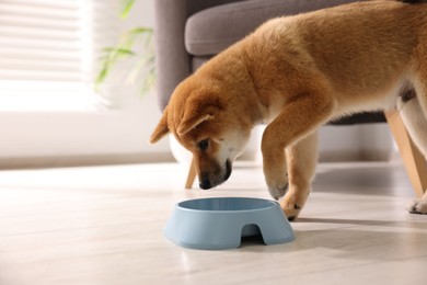 Photo of Cute Shiba Inu puppy eating dog food from feeding bowl on floor at home