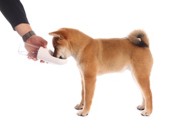 Photo of Owner giving water to cute Shiba Inu puppy on white background, closeup