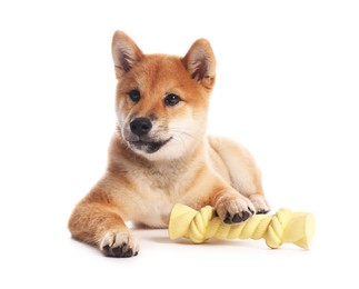 Photo of Cute Shiba Inu puppy playing with chew toy on white background