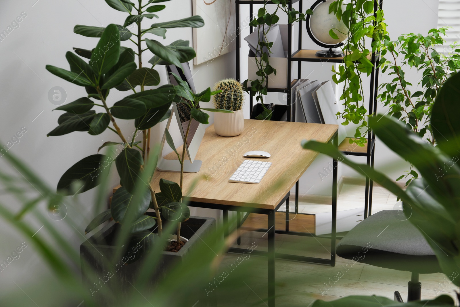 Photo of Biophilic interior design. Stylish workplace with computer and houseplants in office