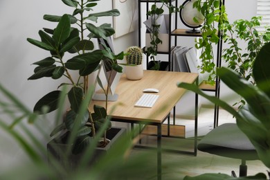 Photo of Biophilic interior design. Stylish workplace with computer and houseplants in office