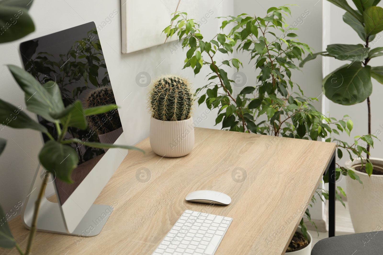 Photo of Biophilic interior design. Stylish workplace with computer and houseplants in office