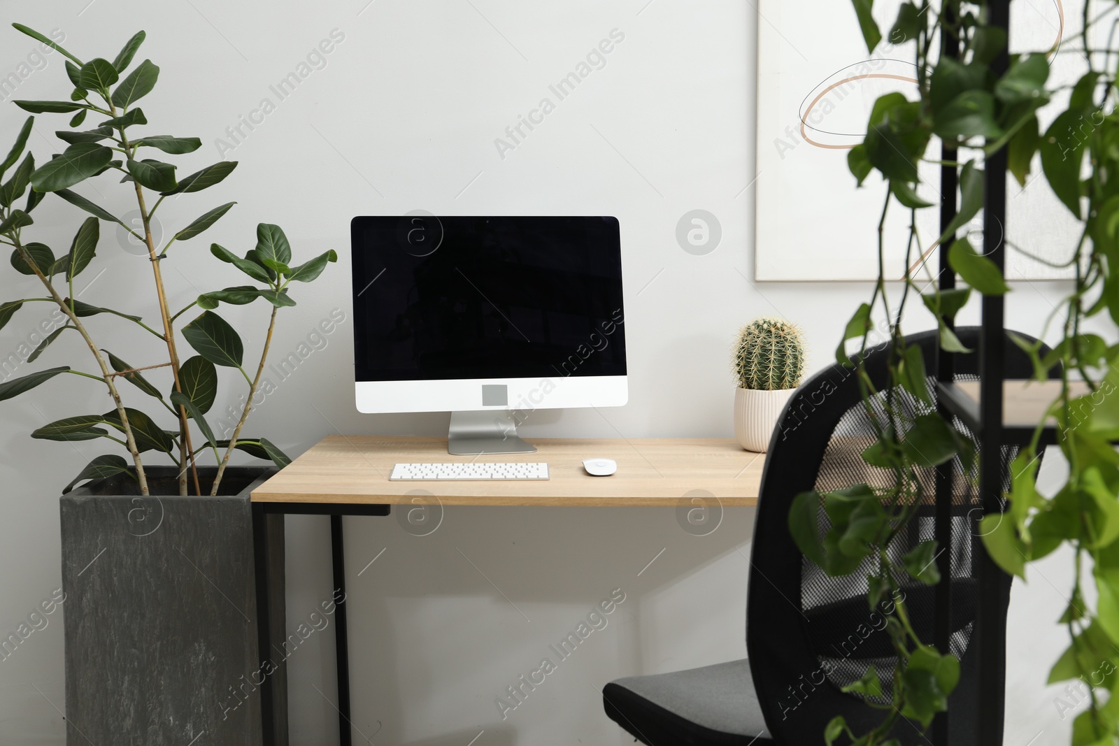 Photo of Biophilic interior design. Stylish workplace with computer and houseplants in office
