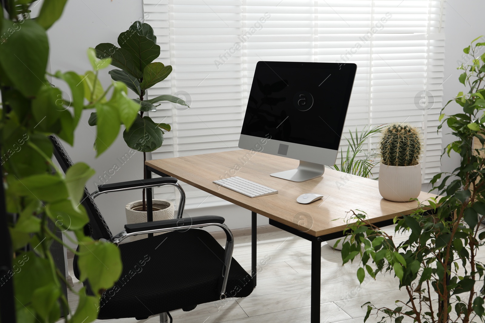 Photo of Biophilic interior design. Stylish workplace with computer and houseplants in office