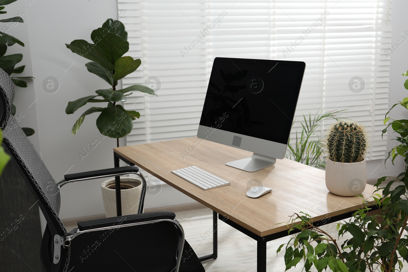 Photo of Biophilic interior design. Stylish workplace with computer and houseplants in office