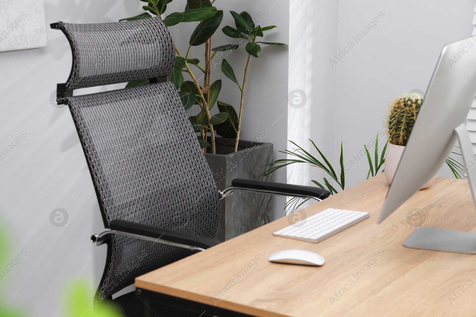 Photo of Biophilic interior design. Stylish workplace with computer and houseplants in office