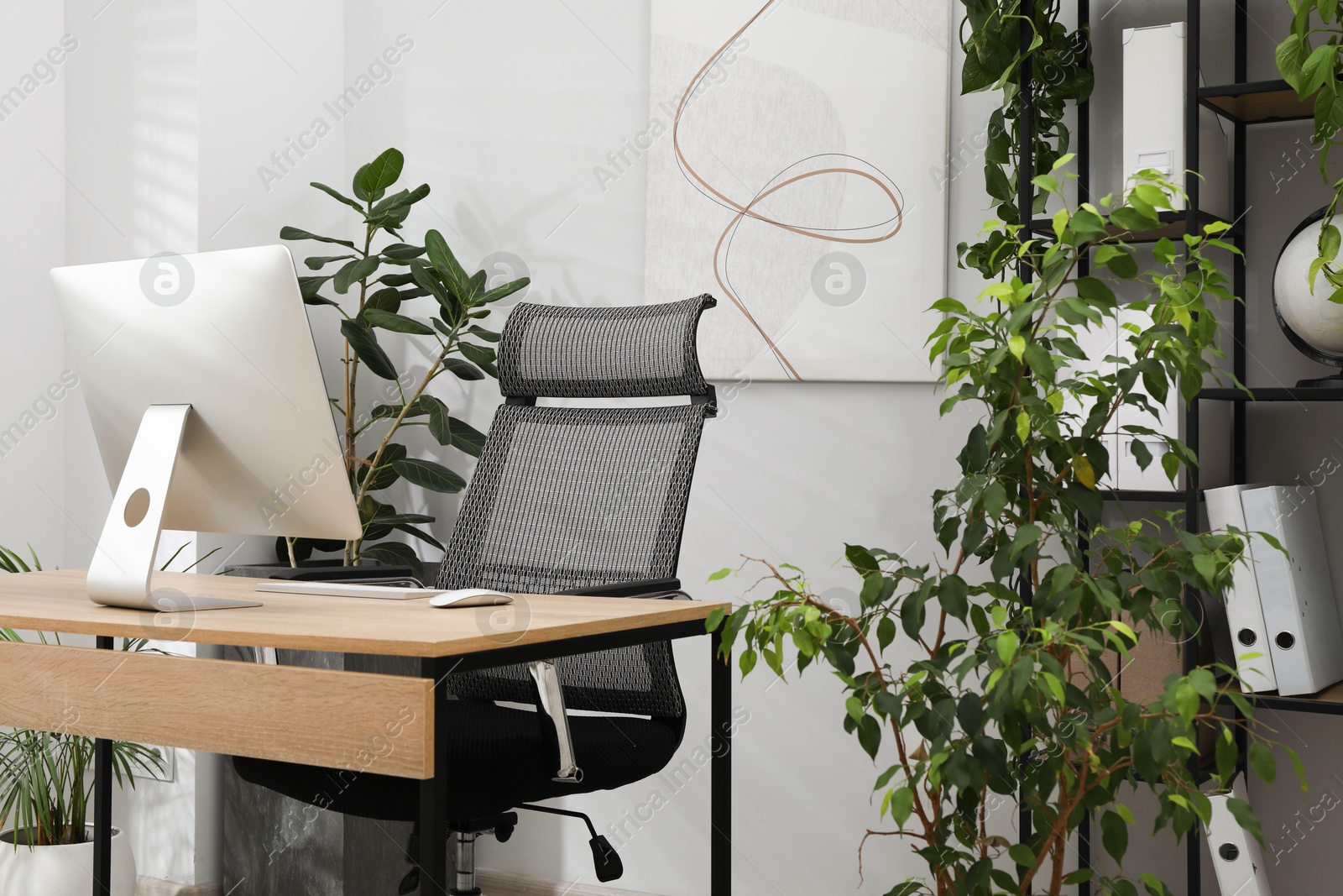 Biophilic interior design. Stylish workplace with computer and houseplants in office Photo of Biophilic interior design. Stylish workplace with computer and houseplants in office