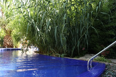 Photo of Outdoor swimming pool and different green plants