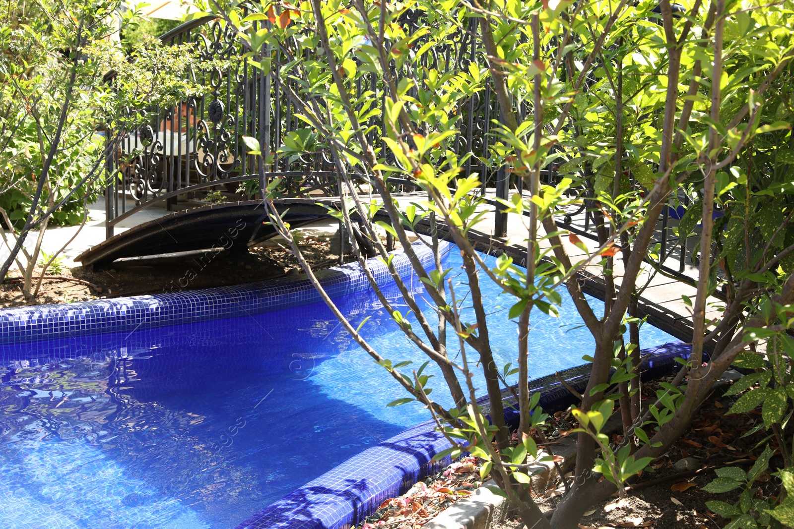 Photo of Outdoor swimming pool, bridge and different green plants