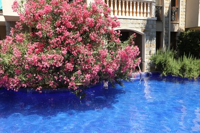 Photo of Outdoor swimming pool and oleander shrub near hotel at luxury resort