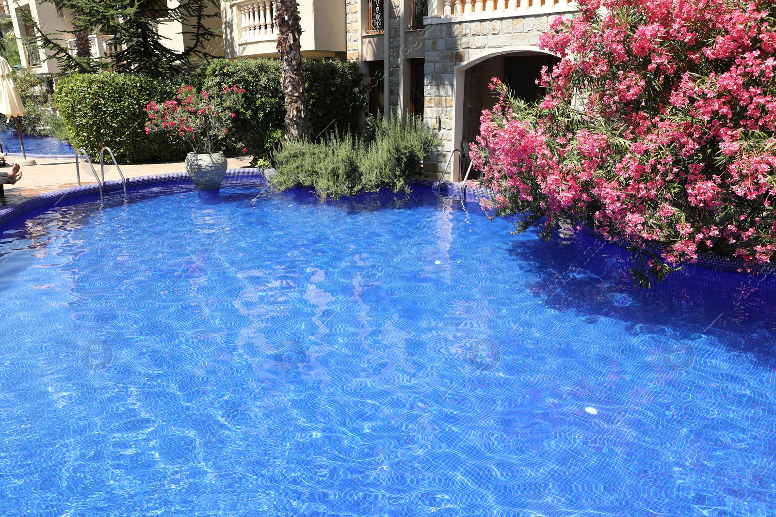 Outdoor swimming pool and different plants near hotel at luxury resort Photo of Outdoor swimming pool and different plants near hotel at luxury resort