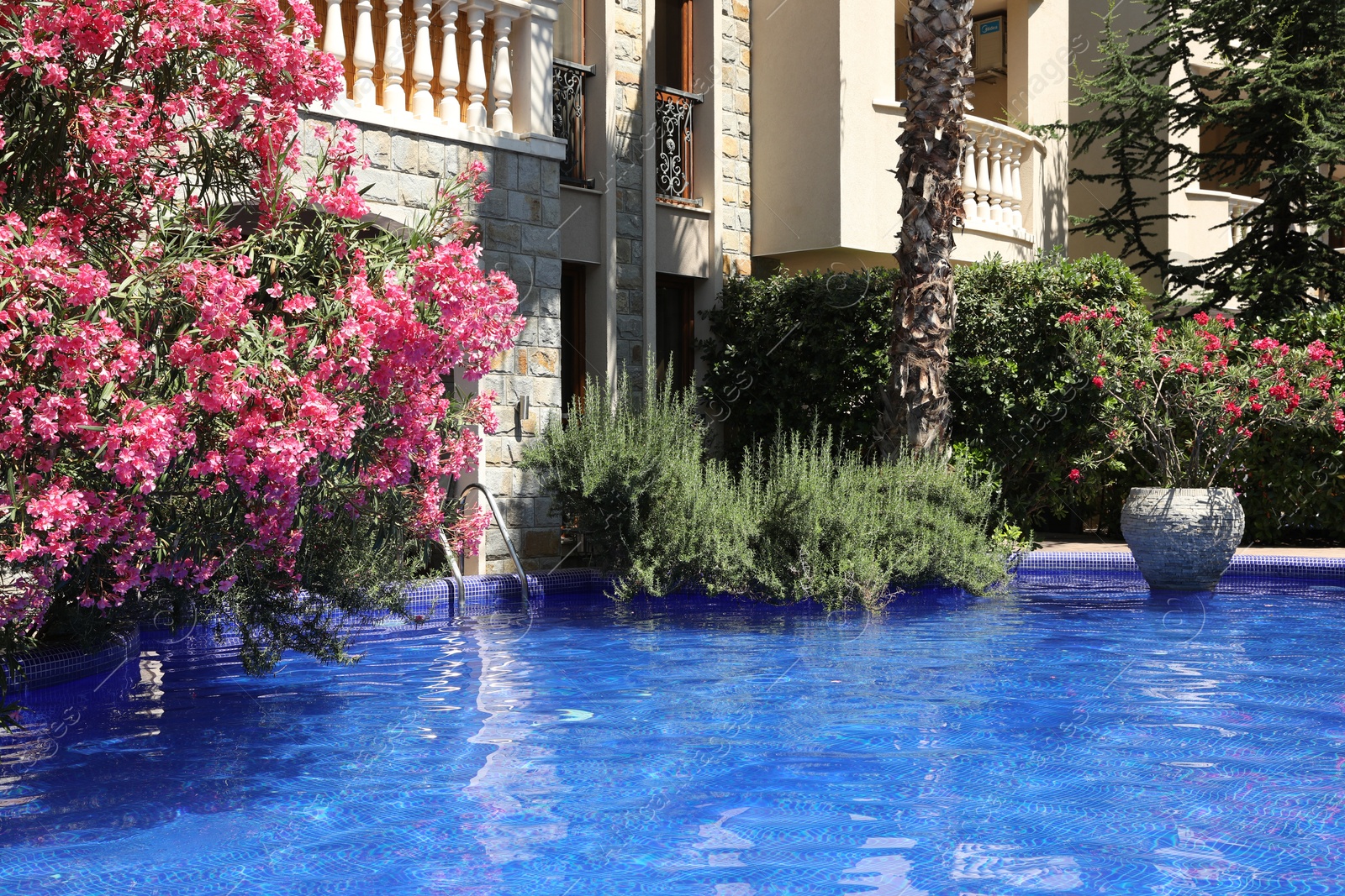 Outdoor swimming pool and different plants near hotel at luxury resort Photo of Outdoor swimming pool and different plants near hotel at luxury resort
