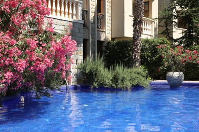 Photo of Outdoor swimming pool and different plants near hotel at luxury resort