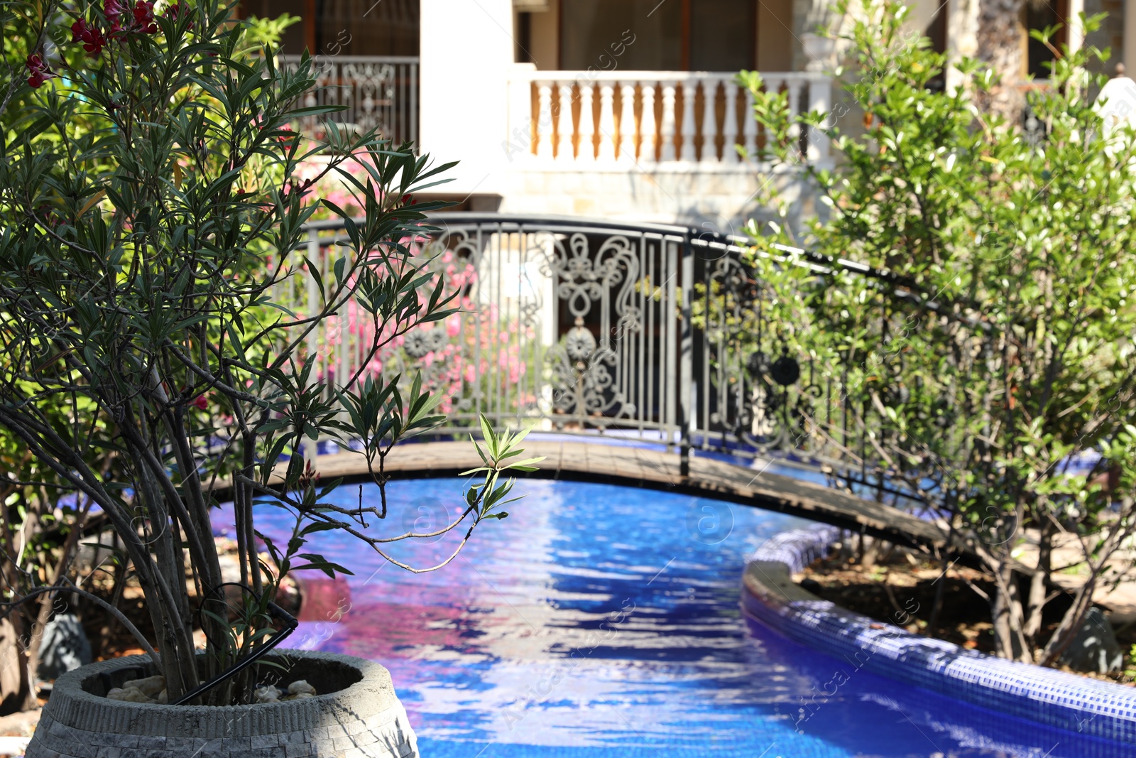Photo of Outdoor swimming pool, bridge and green plants near hotel at luxury resort