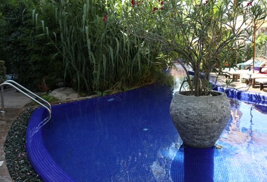 Photo of Swimming pool with ladder and different green plants outdoors