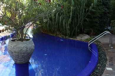 Photo of Swimming pool with ladder and different green plants outdoors