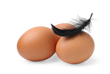 Photo of Raw chicken eggs with feather isolated on white