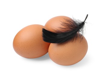 Photo of Raw chicken eggs with feather isolated on white