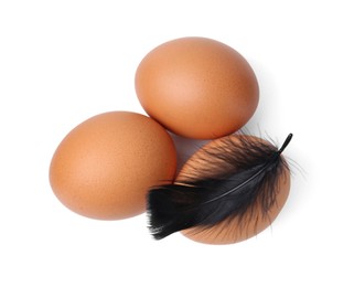 Photo of Raw chicken eggs with feather isolated on white, top view