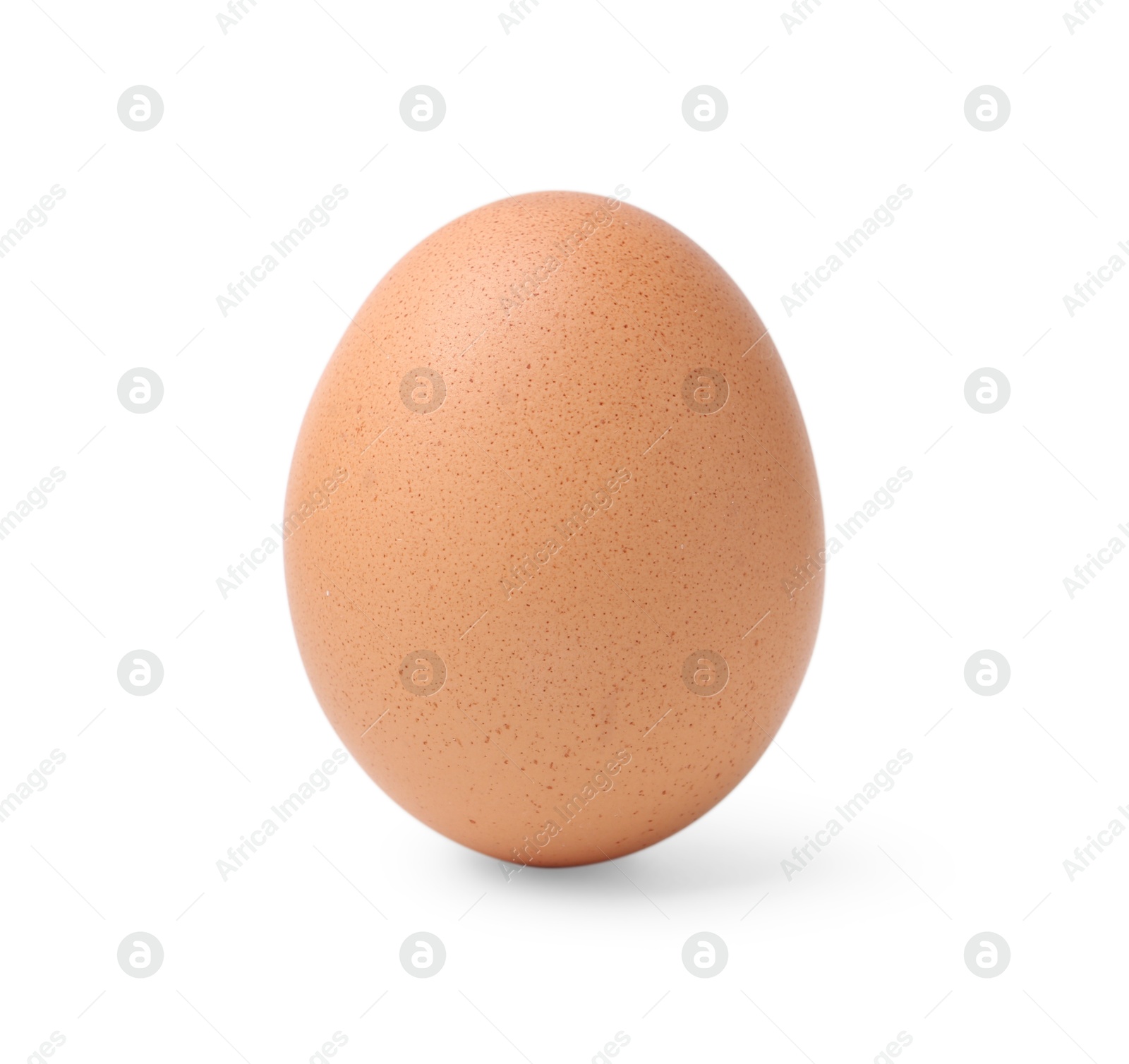 Photo of One raw chicken egg isolated on white