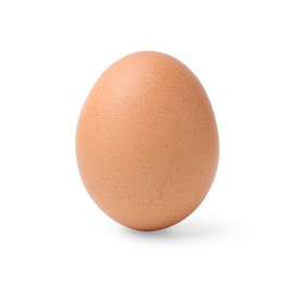 Photo of One raw chicken egg isolated on white