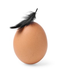 Photo of One raw chicken egg with feather isolated on white