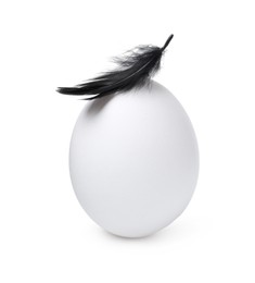 Photo of One raw chicken egg with feather isolated on white
