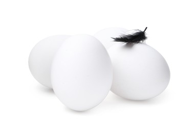 Photo of Raw chicken eggs with feather isolated on white