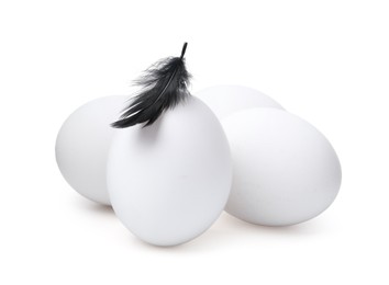 Photo of Raw chicken eggs with feather isolated on white