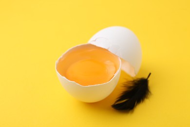 Photo of One broken chicken egg and feather on yellow background, closeup