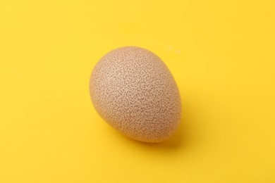 Photo of One raw chicken egg on yellow background, closeup