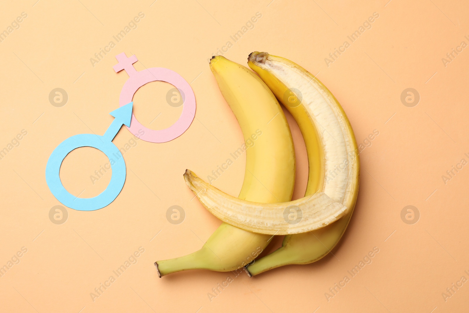 Sex education. Bananas, paper female and male gender symbols on pale orange background, flat lay Photo of Sex education. Bananas, paper female and male gender symbols on pale orange background, flat lay