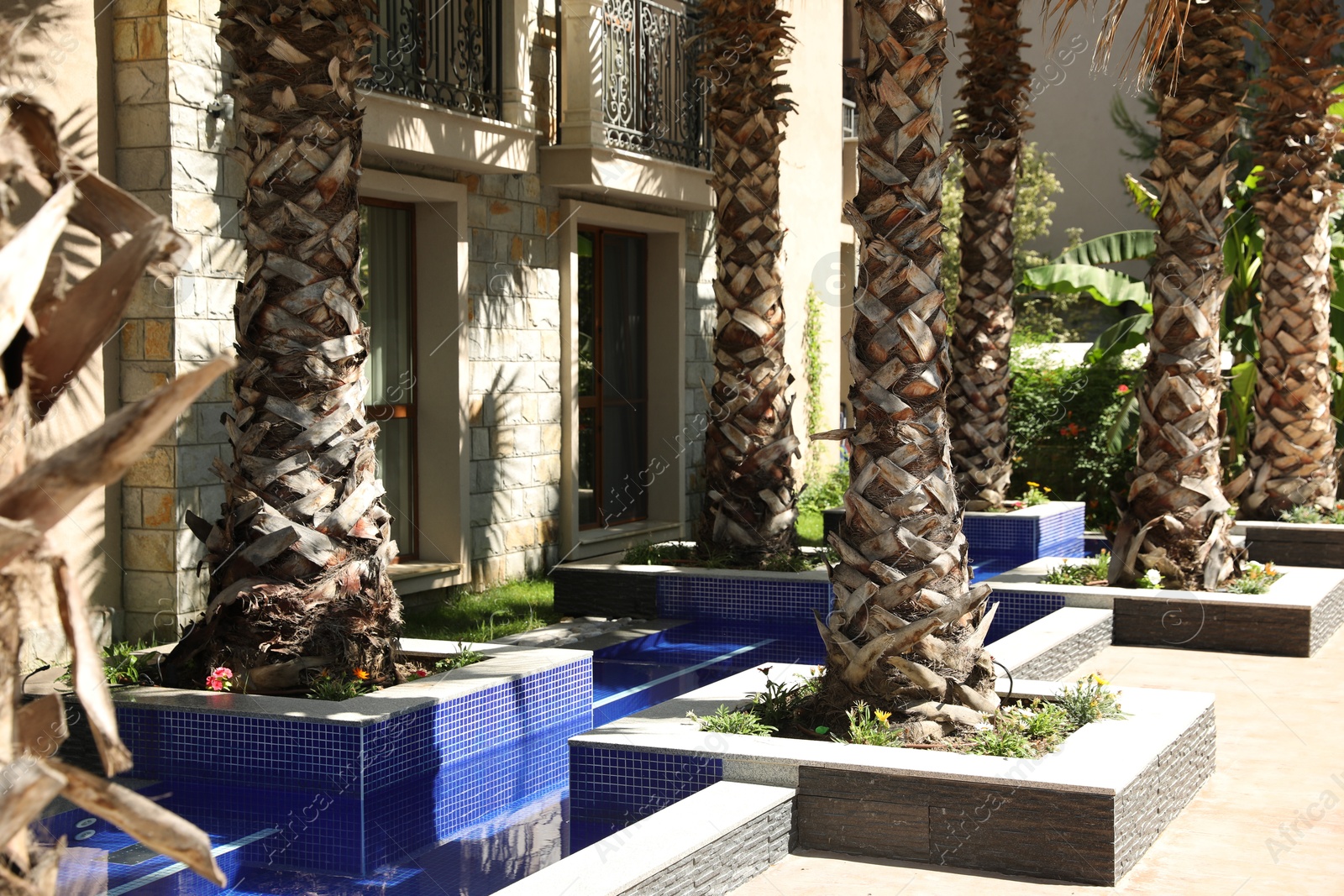 Photo of Beautiful palm trees near residential building outdoors on sunny day