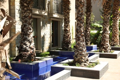 Photo of Beautiful palm trees near residential building outdoors on sunny day