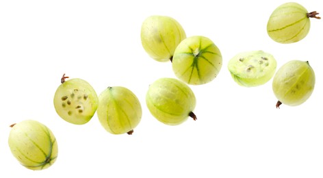 Image of Fresh green gooseberries flying against white background