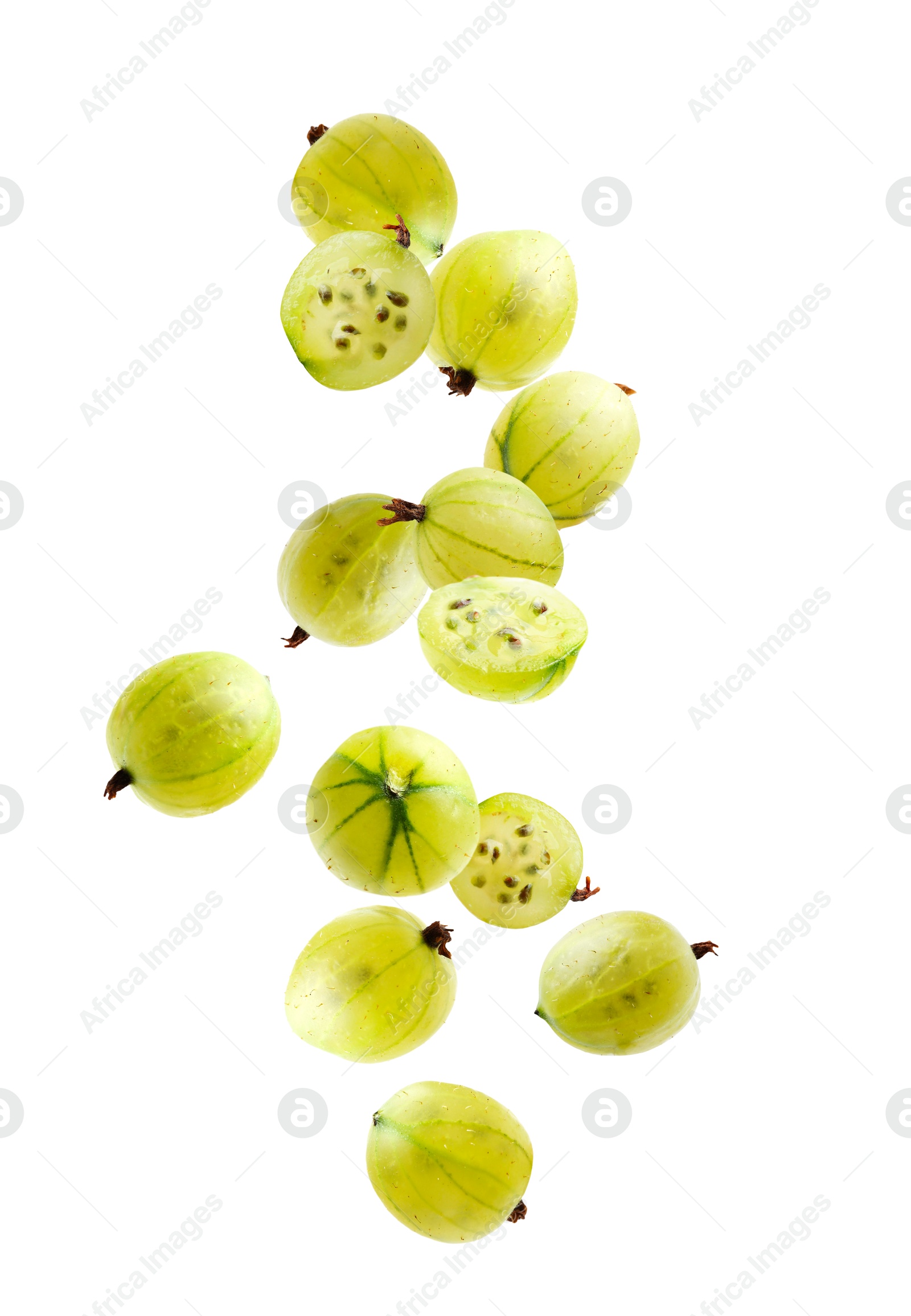Fresh green gooseberries falling against white background Image of Fresh green gooseberries falling against white background