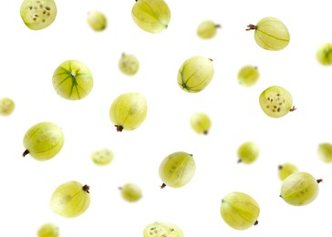 Image of Fresh green gooseberries falling against white background