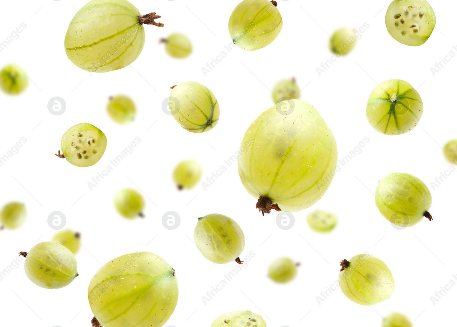 Fresh green gooseberries falling against white background Image of Fresh green gooseberries falling against white background